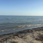 IMG-20190116-WA0007