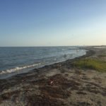 IMG-20190116-WA0008
