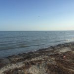IMG-20190116-WA0017