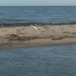 IMG-20190116-WA0018